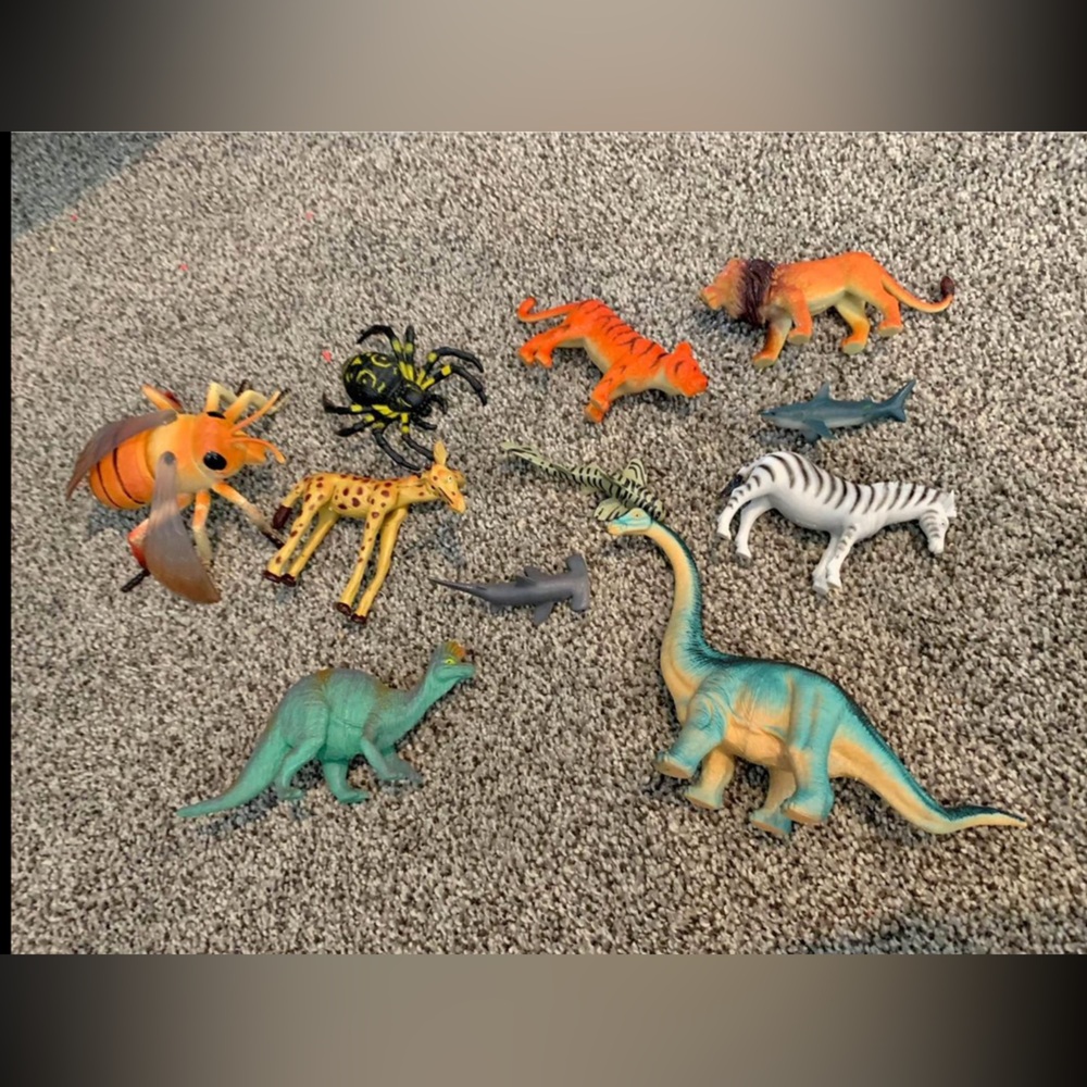 Animal Lot